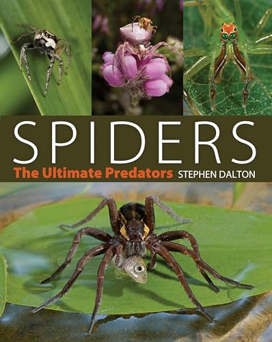 Beispielbild fr Spiders: The Ultimate Predators zum Verkauf von WorldofBooks