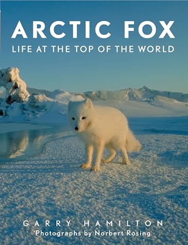 Imagen de archivo de Arctic Fox a la venta por WorldofBooks