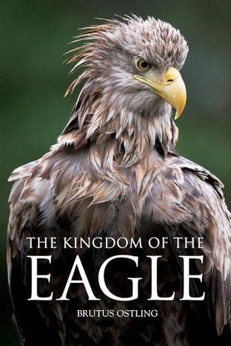 9781408107041: The Kingdom of the Eagle