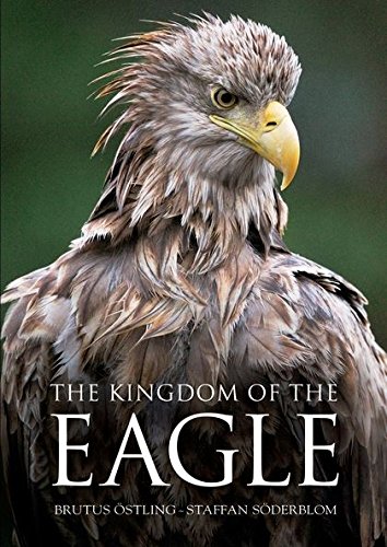 Stock image for Kingdom of the Eagle for sale by WorldofBooks