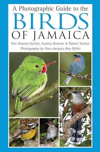 Beispielbild fr A Photographic Guide to the Birds of Jamaica. zum Verkauf von Antiquariat Bernhardt