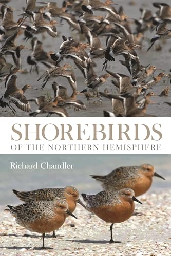 9781408107904: Shorebirds of the Northern Hemisphere (Helm Photographic Guides)