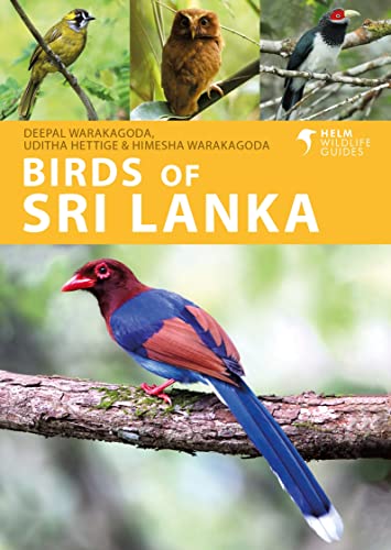 Beispielbild fr Birds of Sri Lanka zum Verkauf von Blackwell's