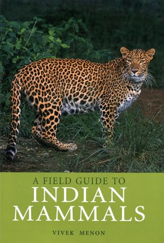 Stock image for Field Guide to Indian Mammals (Helm Field Guides) for sale by Bookmans