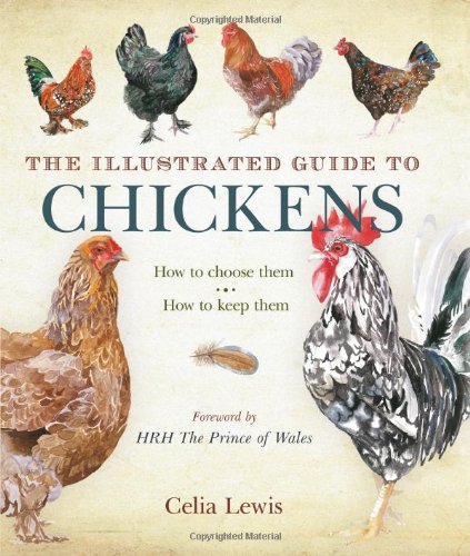 9781408122297: The Illustrated Guide to Chickens: How to Choose Them - How to Keep Them