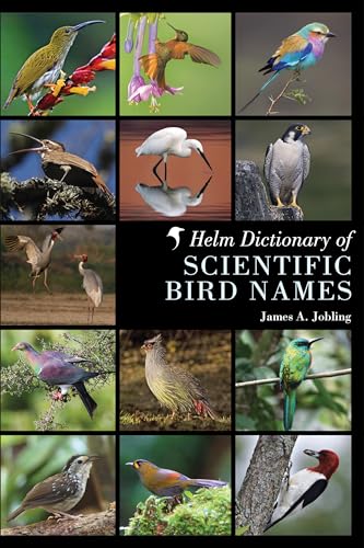9781408125014: Helm Dictionary of Scientific Bird Names