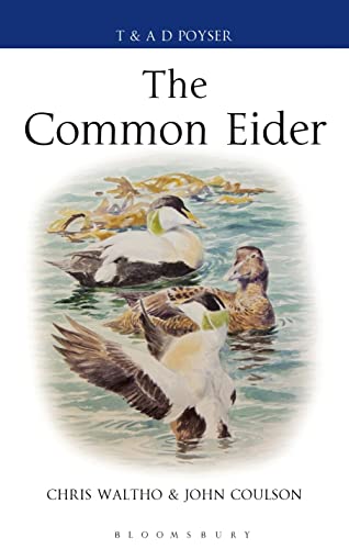 9781408125328: The Common Eider (Poyser Monographs)