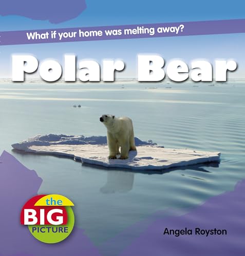 Stock image for Polar Bear for sale by Blackwell's