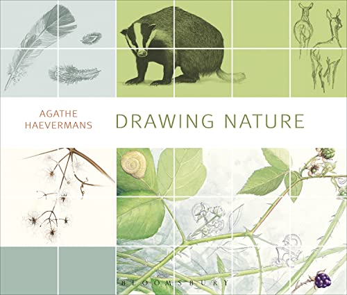 Stock image for Drawing Nature for sale by Midtown Scholar Bookstore