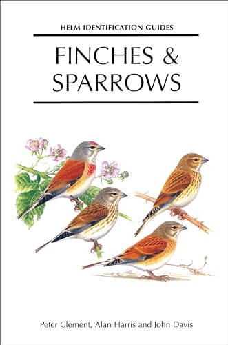 9781408135082: Finches and Sparrows
