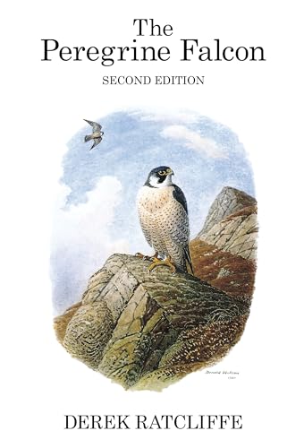9781408136843: The Peregrine Falcon (Poyser Monographs)