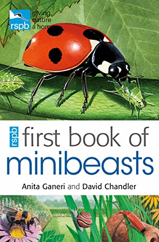 Beispielbild fr RSPB First Book Of Minibeasts zum Verkauf von WorldofBooks