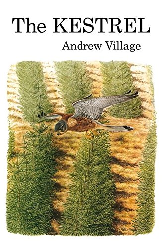 Stock image for Village, A: The Kestrel for sale by moluna