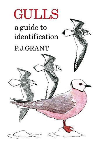 9781408138311: Gulls: A Guide to Identification. 2nd Edition
