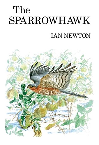 Sparrowhawk (9781408138342) by Newton, Ian