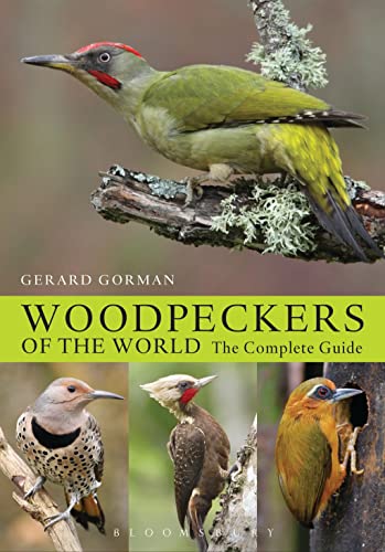 Beispielbild fr Woodpeckers of the World: The Complete Guide (Helm Photographic Guides) zum Verkauf von Monster Bookshop