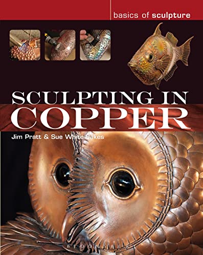 Stock image for Sculpting in Copper (Basics of Sculpture) for sale by GF Books, Inc.
