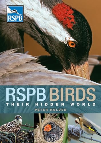 Imagen de archivo de RSPB Birds: Their Hidden World a la venta por WorldofBooks