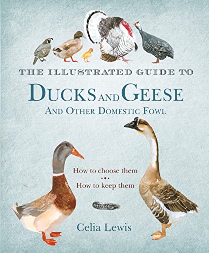 Beispielbild fr The Illustrated Guide to Ducks and Geese and Other Domestic Fowl: How To Choose Them - How To Keep Them zum Verkauf von WorldofBooks