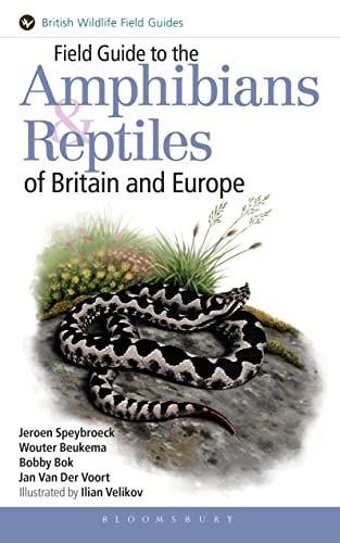 Field Guide to the Amphibians and Reptiles of Britain and Europe - Van Der Voort, Jan, Bok, Bobby, Speybroeck, Jeroen, Beukema, Wouter