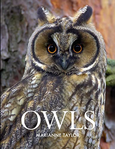 Stock image for Owls for sale by WorldofBooks
