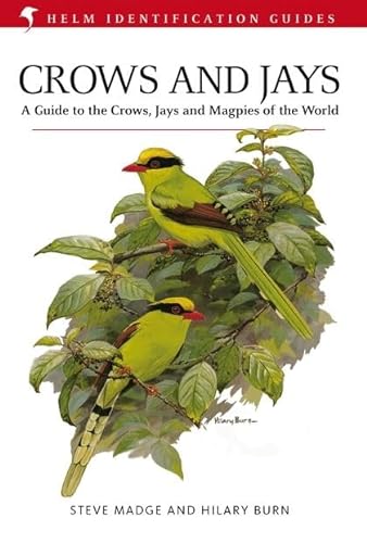 9781408157381: Crows and Jays (Helm Identification Guides)