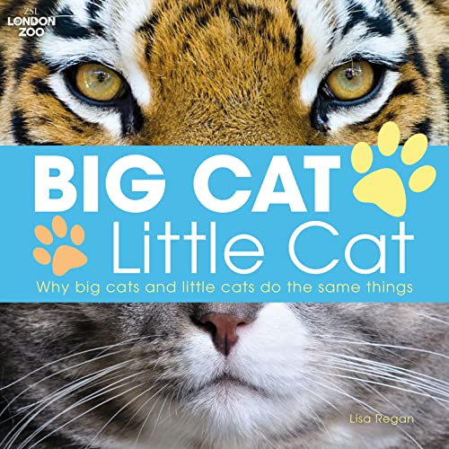 Big Cat, Little Cat (9781408164013) by Regan, Lisa
