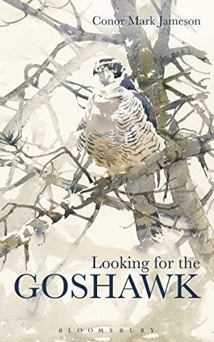 9781408164877: Looking for the Goshawk