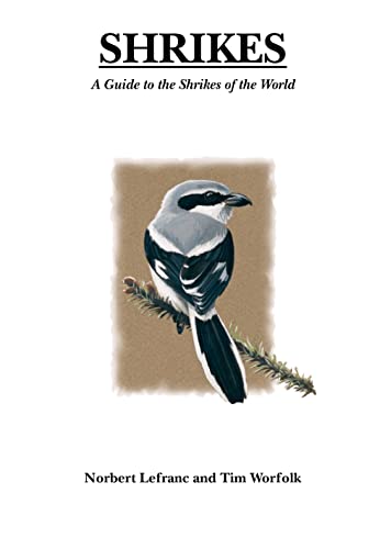 9781408187562: Shrikes: A Guide to the Shrikes of the World