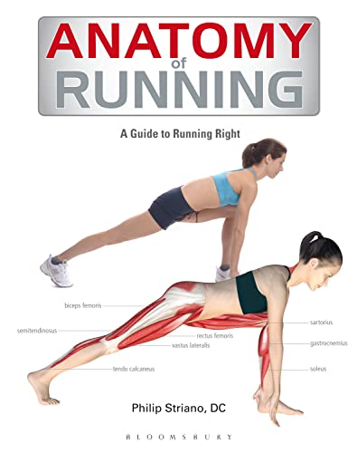 Imagen de archivo de Anatomy of Running: A Guide to Running Right a la venta por AwesomeBooks