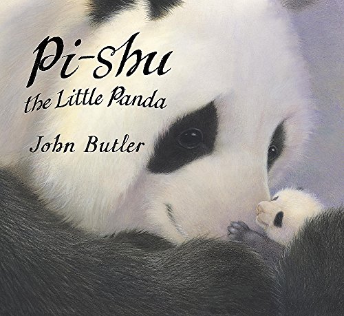 9781408303610: Pi-Shu The Little Panda
