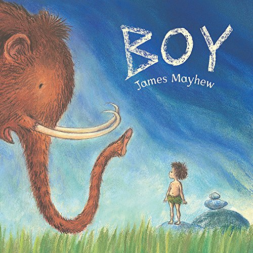 Imagen de archivo de Boy a la venta por Better World Books