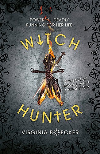 Witch Hunter: Book 1