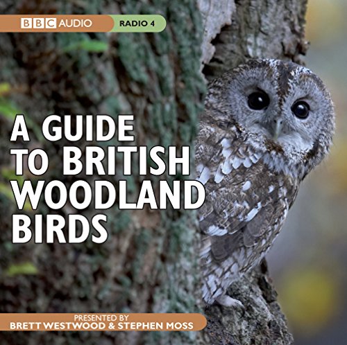 Stock image for A Guide To British Woodland Birds for sale by WorldofBooks