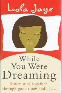 9781408487723: While You Were Dreaming