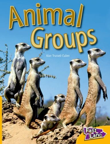 Stock image for Animal Groups: Fast Lane Yellow Non-Fiction for sale by WorldofBooks