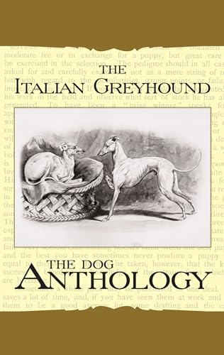 Imagen de archivo de The Italian Greyhound: A Dog Anthology (Vintage Dog Books Breed Classic) a la venta por GF Books, Inc.