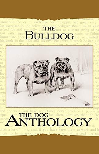 9781408631836: The Bulldog