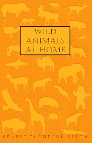 9781408697276: Wild Animals At Home