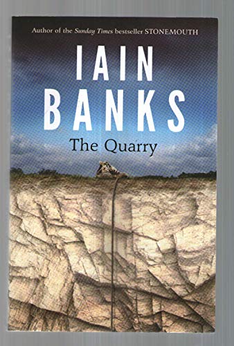 Stock image for The Quarry for sale by WorldofBooks