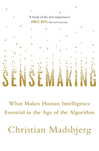 9781408708361: Sensemaking: What Makes Human Intelligence Essential in the Age of the Algorithm
