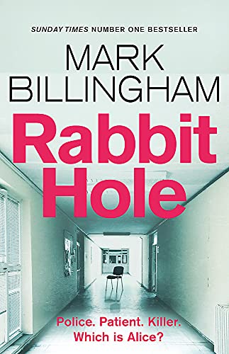 9781408712436: Rabbit Hole: The new masterpiece from the Sunday Times number one bestseller