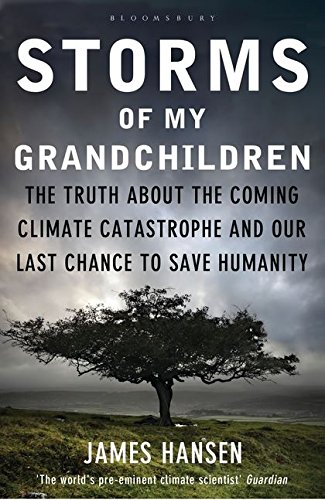 9781408807460: Storms of My Grandchildren: The Truth about the Coming Climate Catastrophe and Our Last Chance to Save Humanity
