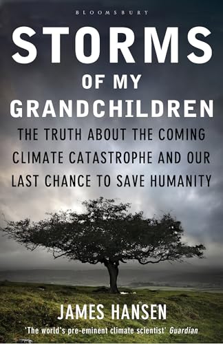 Stock image for Storms of My Grandchildren: The Truth about the Coming Climate Catastrophe and Our Last Chance to Save Humanity for sale by Chiron Media