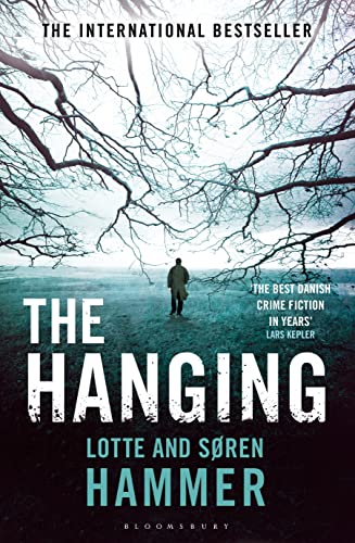 Stock image for The Hanging: 1 (A Konrad Simonsen Thriller) for sale by Goldstone Books