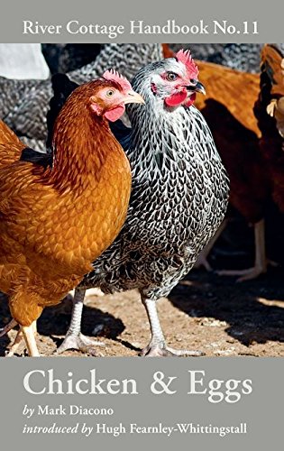 Stock image for The River Cottage Chicken &amp; Eggs Handbook for sale by Blackwell's