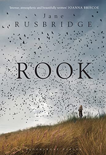 Stock image for Rook for sale by AwesomeBooks