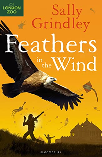 Feathers in the Wind (9781408819470) by Grindley, Sally