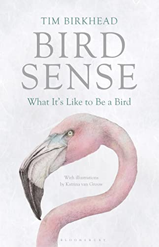 9781408820131: Bird Sense: What It's Like to Be a Bird