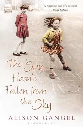 Beispielbild fr The Sun Hasn't Fallen From the Sky zum Verkauf von WorldofBooks